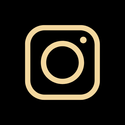 icono instagram
